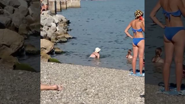 Моим дорогим гостям посвящается