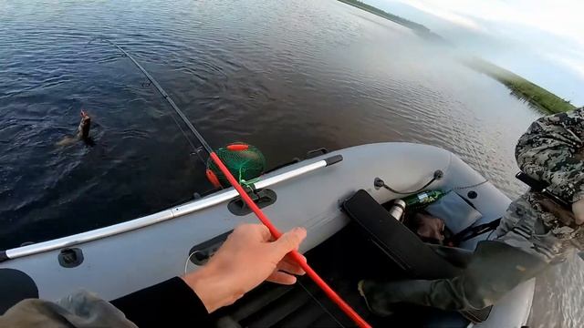 Рыбалка на спиннинг. Озеро (карьер) близ реки Аган, ХМАО. смотреть онлайн