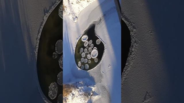 р.Кручина 15.11.2012 смотреть онлайн