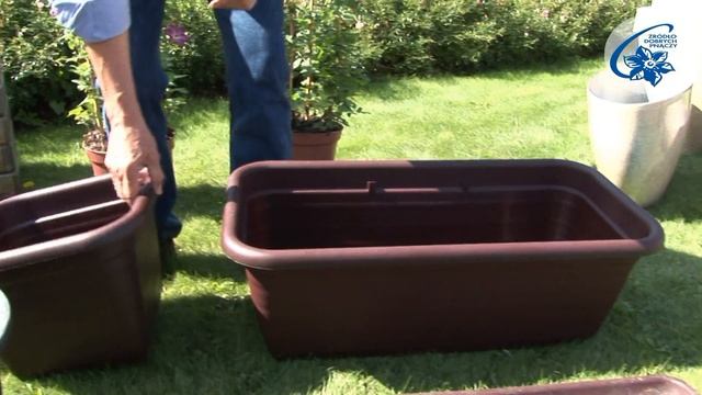 Clematis and other climbers on the balcony - containers смотреть онлайн