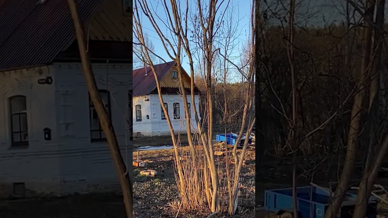 Начинаем работать на земле предков #дом #восстановление #вятский #хутор #diy #стройка смотреть онлайн