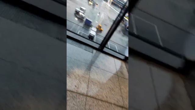 В Шереметьево. смотреть онлайн