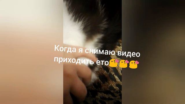 просте ище раз когда я знимала видео звук пропал ???!!—— идея моя смотреть онлайн