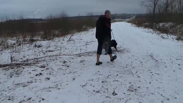 тренировка шеи Бобиком смотреть онлайн