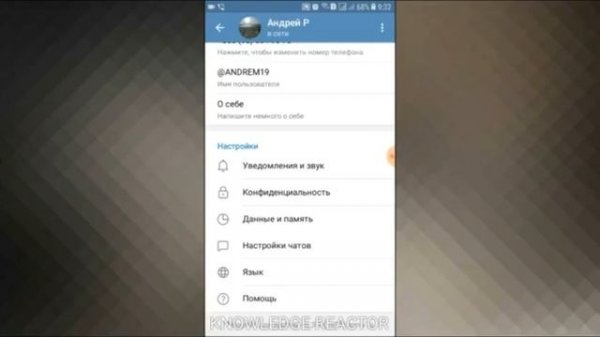 КАК УСТАНОВИТЬ РЕЖИМ ИНКОГНИТО / НЕВИДИМОСТИ В ТЕЛЕГРАМ / TELEGRAM