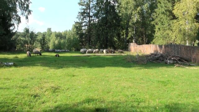 Хотите отдохнуть в российской глубинке? Добро пожаловать к нам в деревню. смотреть онлайн