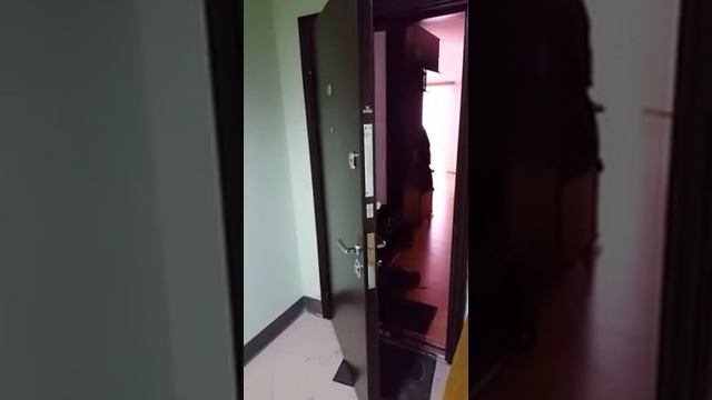 Торекс ультиматум проблемный монтаж смотреть онлайн