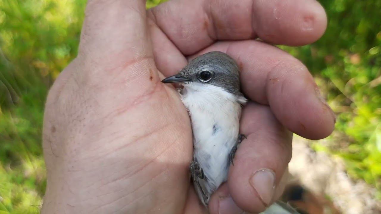 Подгатовка ещё двух мест, попытка половить. 7.08.2022 год. смотреть онлайн