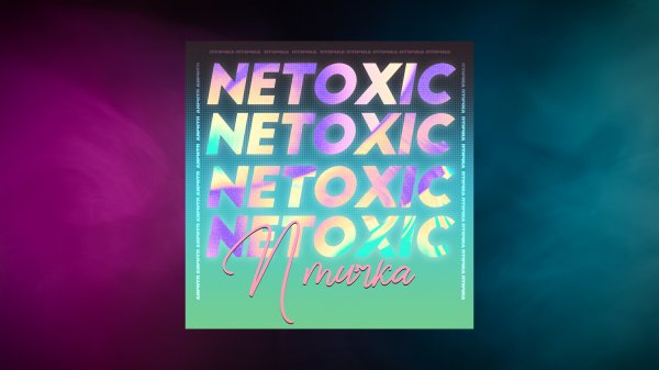 NETOXIC - Птичка (Lyric video)
