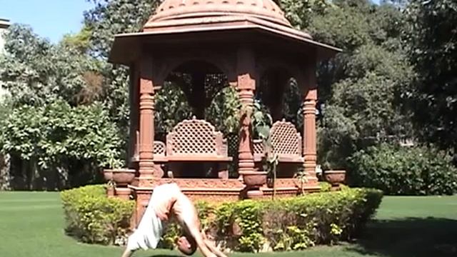 Хатха йога для начинающих смотреть онлайн