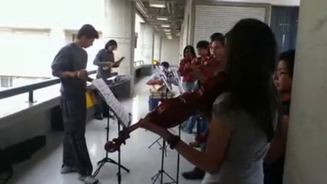 Vivaldi - Concierto para mandolina en C -ensayo смотреть онлайн