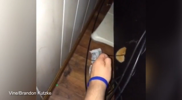 Кот помог хозяину смотреть онлайн