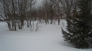 с. Козино
