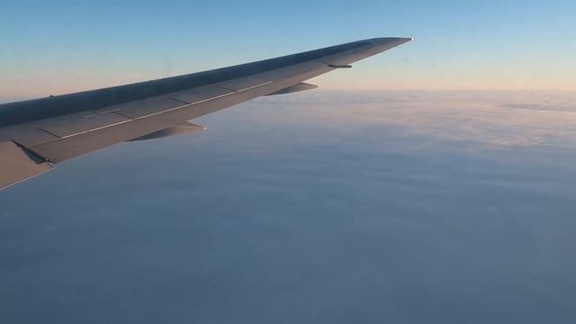 Boeing 767-300 а/к Uzbekistan Airways | Рейс Ташкент - Москва