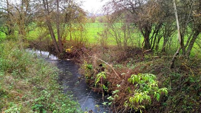Прогулки в поисках монет. Результаты радуют! Изучаем местность. Золотой Трофей! Коп в Германии! смотреть онлайн