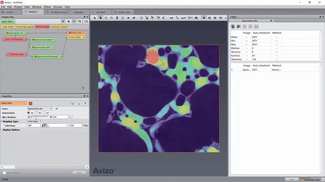 Amira-Avizo How To | Use the Thickness Map module смотреть онлайн