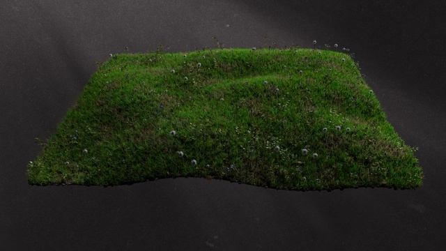 The Grass essentials Turntable смотреть онлайн