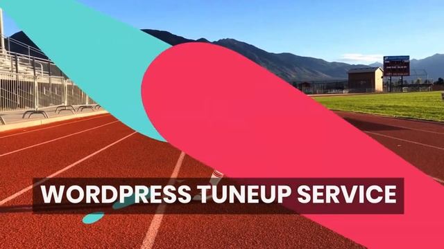 WordPress Tuneup Service - $47 смотреть онлайн