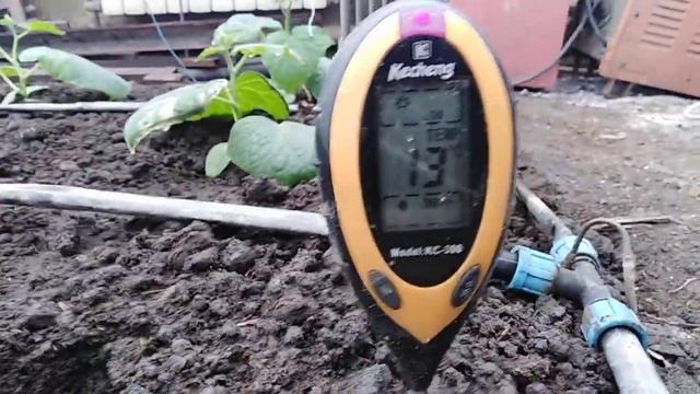 МОРОЗ ПРИХВАТИЛ ОГУРЦЫ?ЧТО ДЕЛАТЬ И КАК СПАСАТЬ! смотреть онлайн