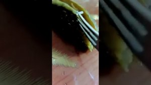 Червяки в огурцах