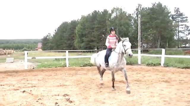 Полина и Канада КСК Темная Лошадка смотреть онлайн