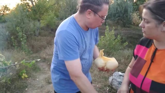 Готовим быстро и весело 