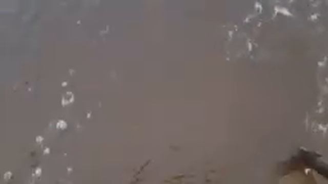 Рыбалка с ''погодой повезло'' смотреть онлайн
