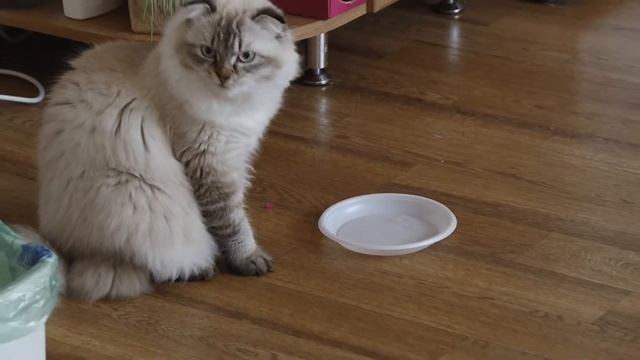 Видео тест Sony HDR AX 2000 смотреть онлайн