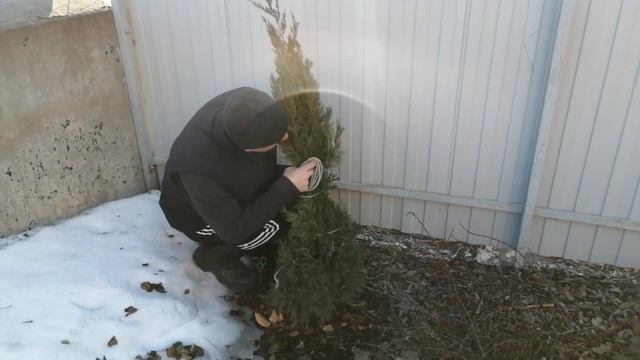 РАБОТЫ В САДУ 6.04.2021 года. смотреть онлайн