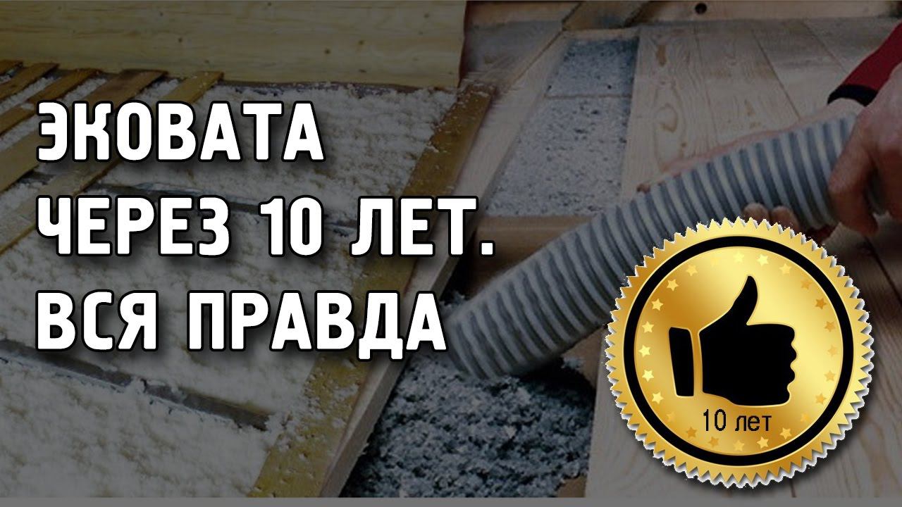 Эковата через 10 лет. Настоящая правда об эковате. смотреть онлайн