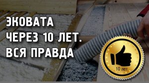 Эковата через 10 лет. Настоящая правда об эковате.