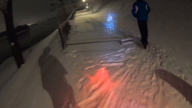 Электросамокат Ultron T128 и Ultron T11 Реальный отзыв владельца в 2020 году!