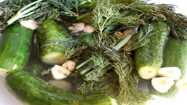 Сборник рецептов