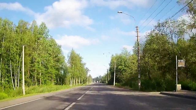 взлет лебедя по дороге смотреть онлайн