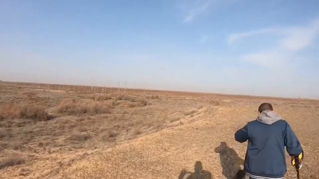 Выехали на коп Астрахань 2020 осень. At Pro, ace 400, x terra 705 смотреть онлайн