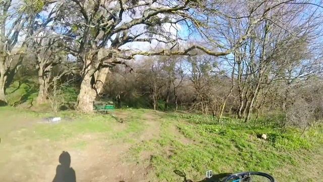 сосновый бор| можжевеловая роща| кемпинг в лесу. STRAVA. Ep 9