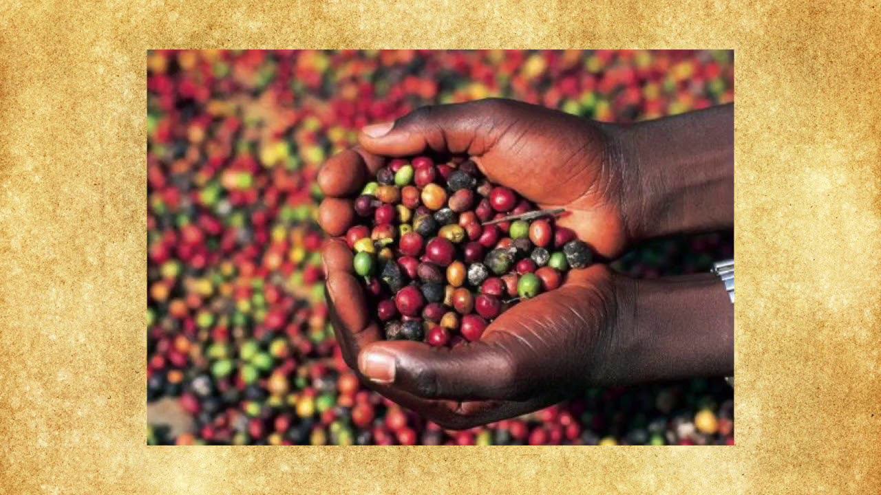 Легенда о кофе смотреть онлайн