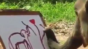 Это очень умный слон!!!