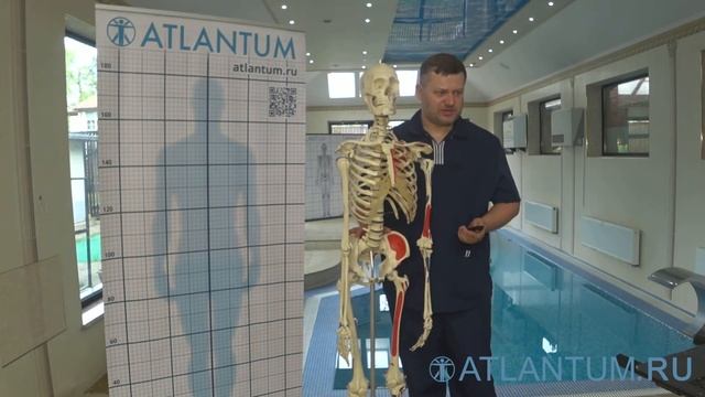 Структура тела – основа красоты - Дмитрий Лариков специалист по оздоровительным методам реабилитаци смотреть онлайн