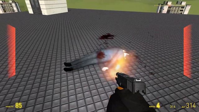 playing garrys mod with grapenugget and pawp (super epic) смотреть онлайн