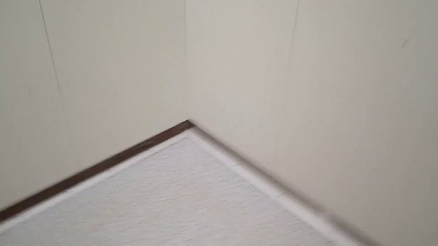 Китайские лифты BLT г. Волжский смотреть онлайн