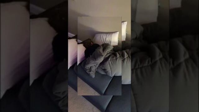 подо мной м5 асфальт 8 смотреть онлайн