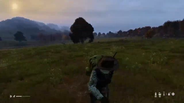 DayZ Zona 11