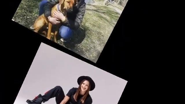 С днём рождения Снежана ! смотреть онлайн