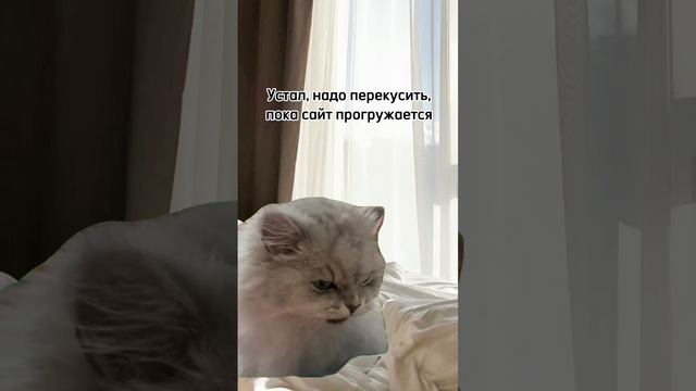 приказы о зачислении в ОмГТУ смотреть онлайн