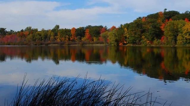 Top 10 Best Tourist Places to Visit in Brampton, Ontario | Canada - English смотреть онлайн
