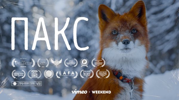 Пакс - Тизер. Pax by Sara Pennypacker [Тизер]