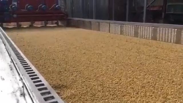 Зерносушилка "ВИК-ГРЕЙН 100" смотреть онлайн