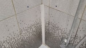 Бордюр или лента на ванну. Что лучше?