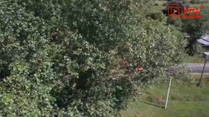 Дорога в Ковылкино